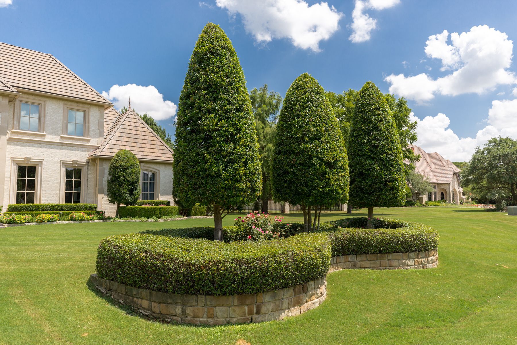 tree shrub trimming house lawn planting  2