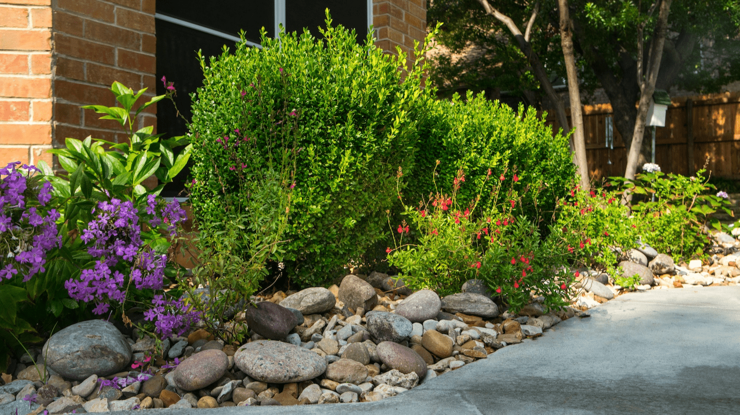 rocks-plants-shrubs-bushes