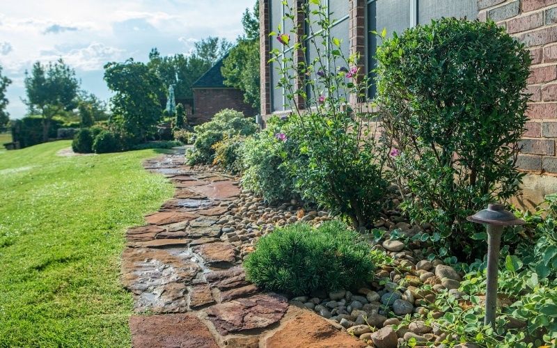 plants-shrubs-stones-rocks