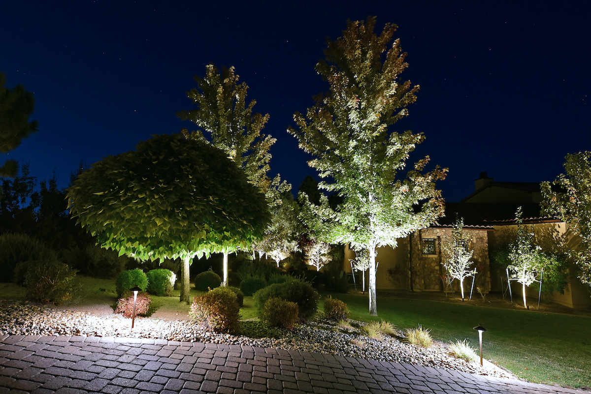 tree landscape lighting ideas