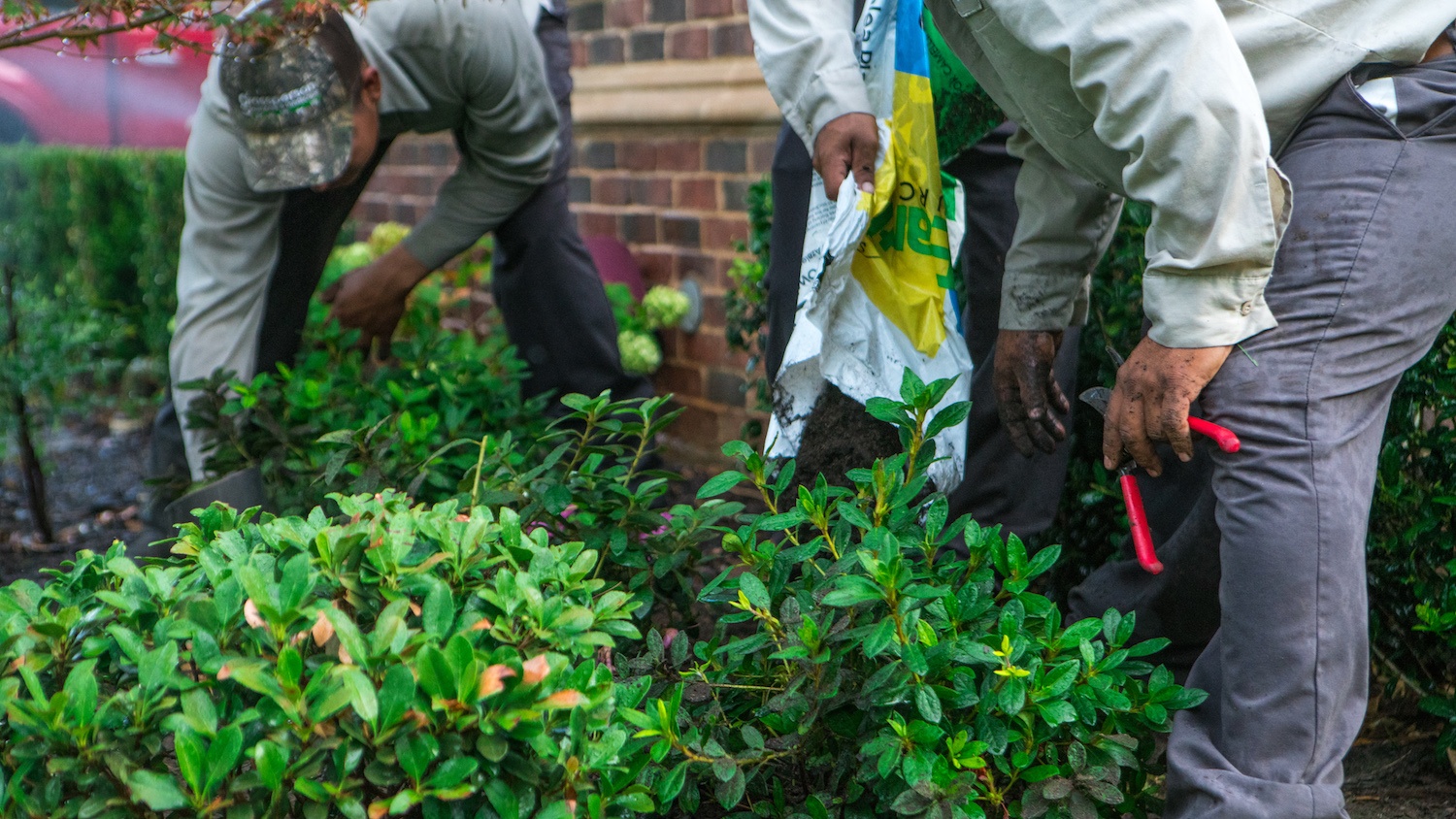 grassperson-crew-planting-11