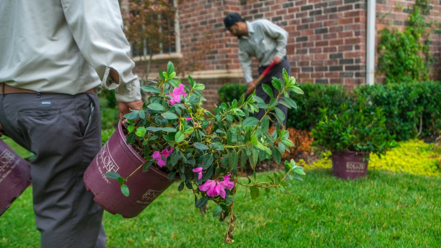 grassperson-crew-planting-2