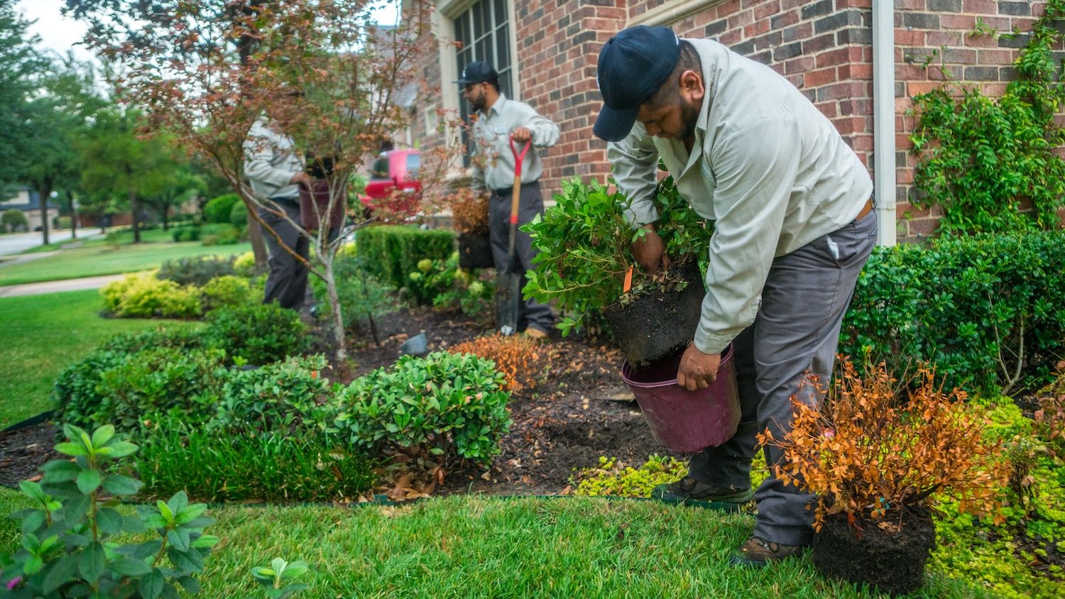 grassperson-crew-planting-3