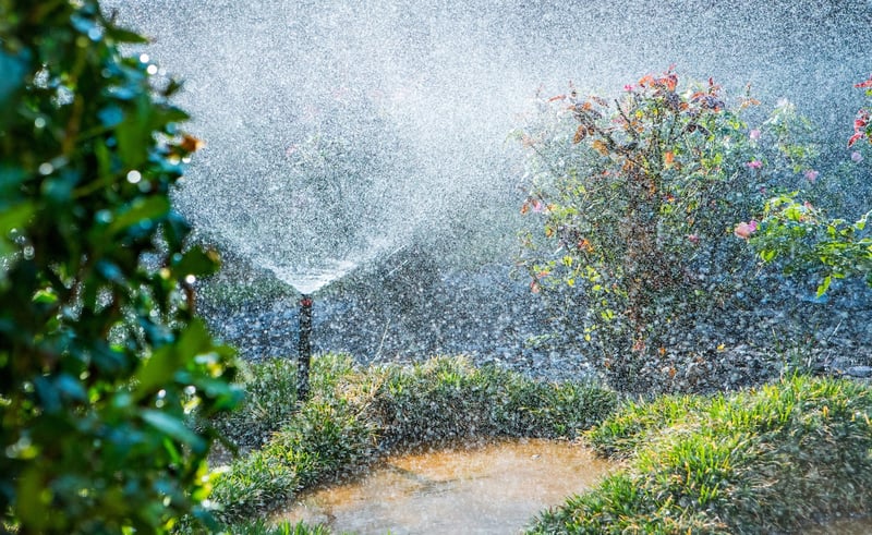 irrigation-plants-walkway-3