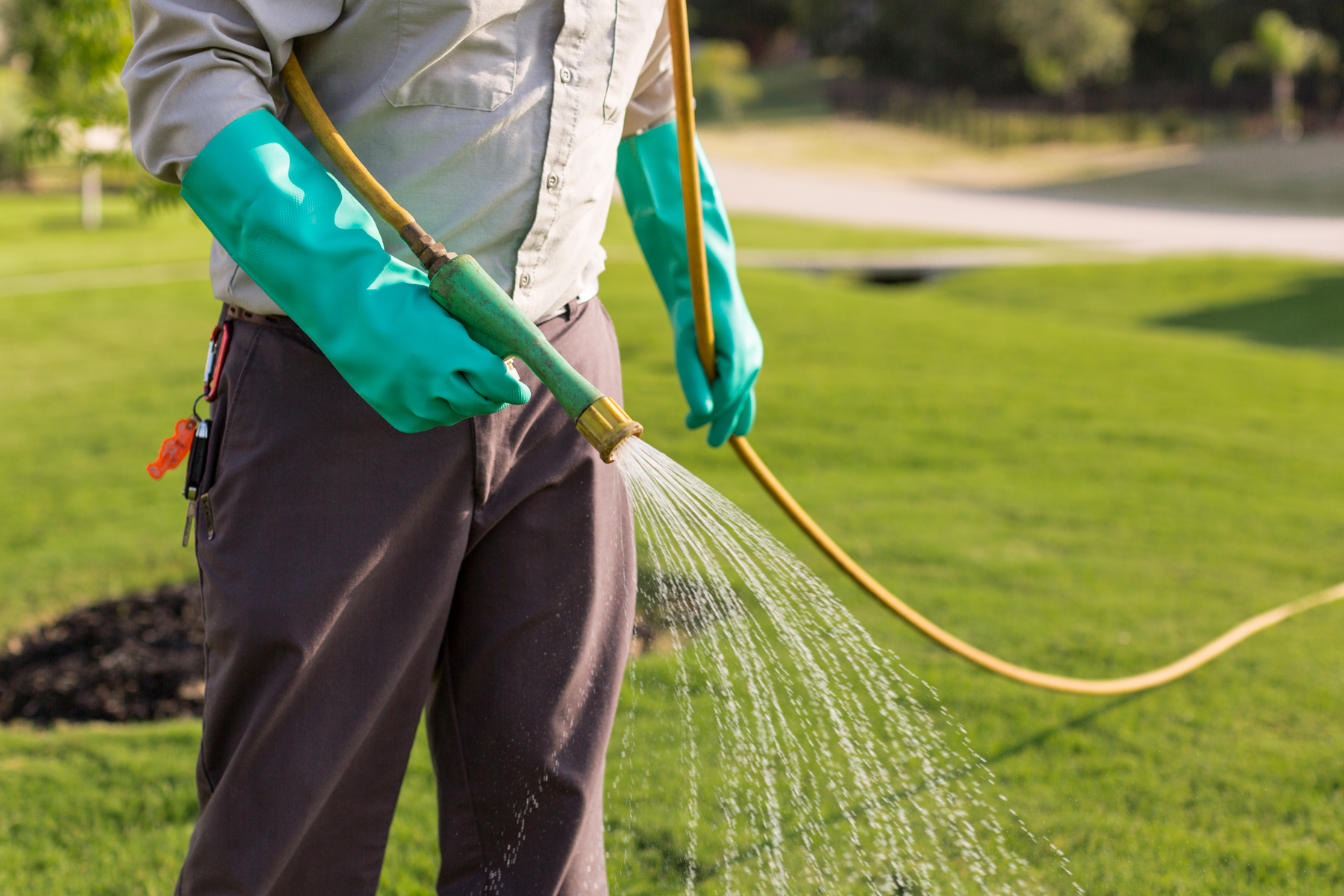 4 Missing Things in the Scotts 4-Step Lawn Care: Tips for Homeowners in Flower Mound, Highland Village, & West Plano, TX