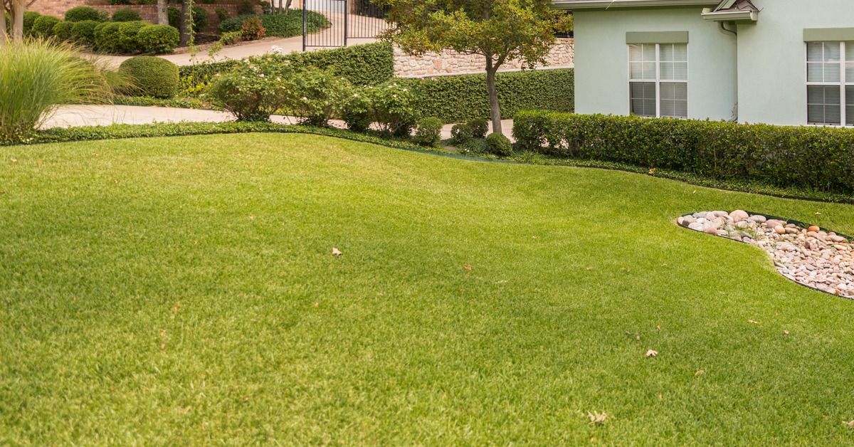 How to Prepare Your Lawn for the Texas Summer Heat