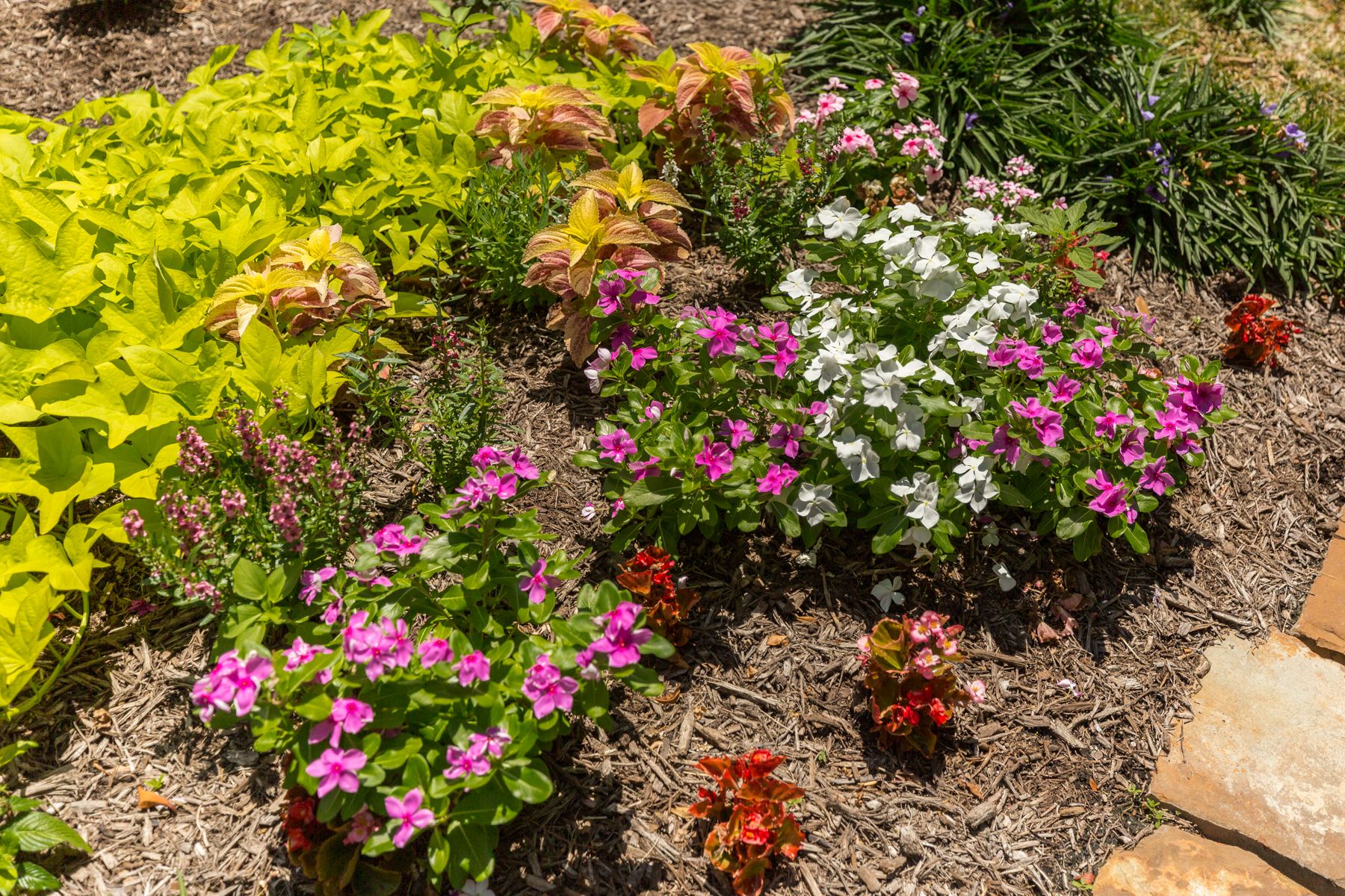 Spring or Fall? The Best Time to Mulch in North Texas