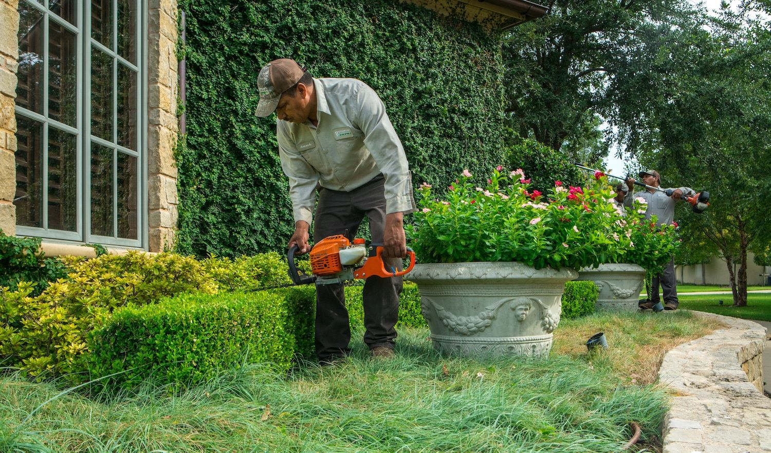 Shrub Trimming vs. Pruning: What’s the Difference & How Will a Landscape Company Near Me Perform These Services?