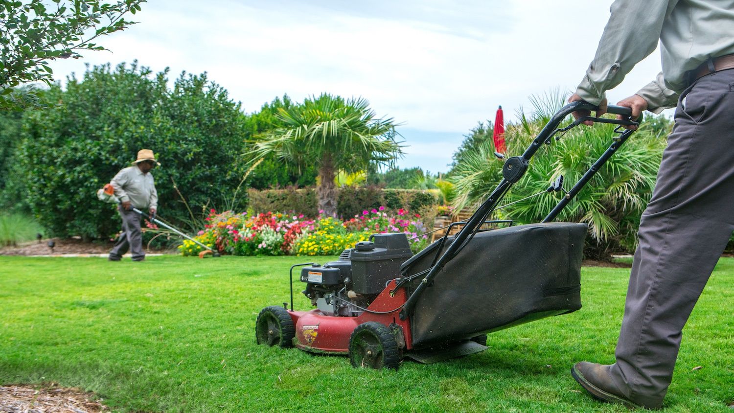 How to Mow for Green, Thick, Healthy Grass: Tips for Homeowners in North TX