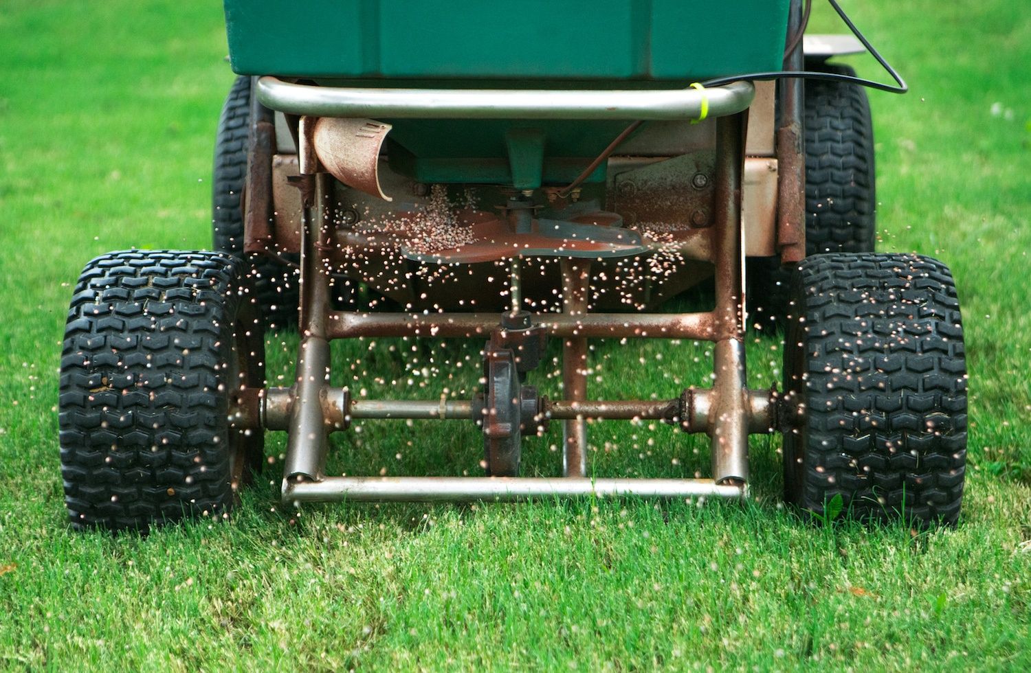 Perfect Lawn Maintenance Timing: When to Fertilize, Water, Spray Weeds and More in Texas