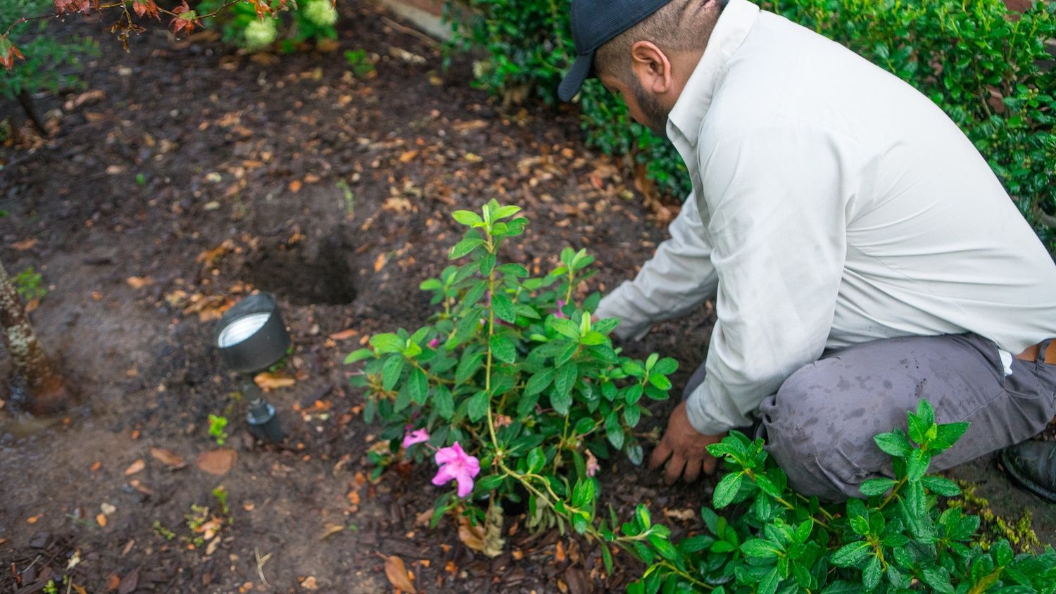 The Most Common Landscaping Mistakes in North Texas & How To Avoid Them