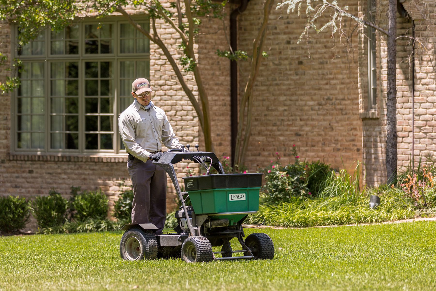 The Ultimate Guide to Lawn Weed Control in North Texas