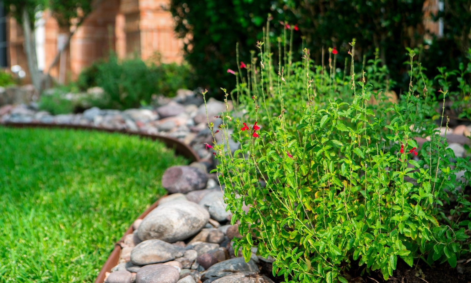 The Ultimate Guide to Enhancing Your Texas Landscape: Simple & Effective Upgrades