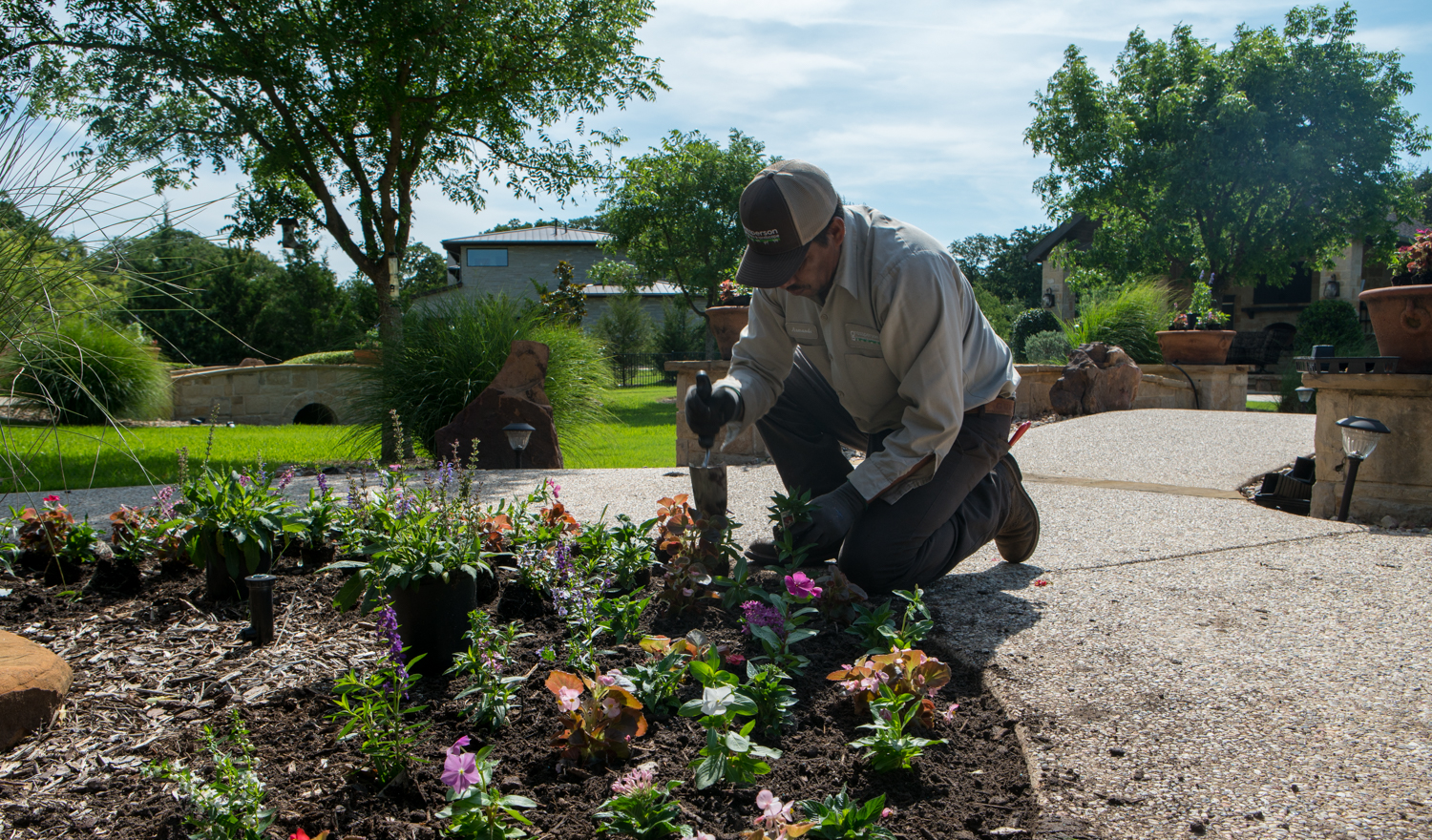 6 Best Flowers to Plant in The Fall in North Texas